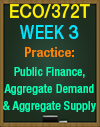 ECO/372T Week 3 Apply Summative Assessment Public Finance & Aggregate Demand and Supply